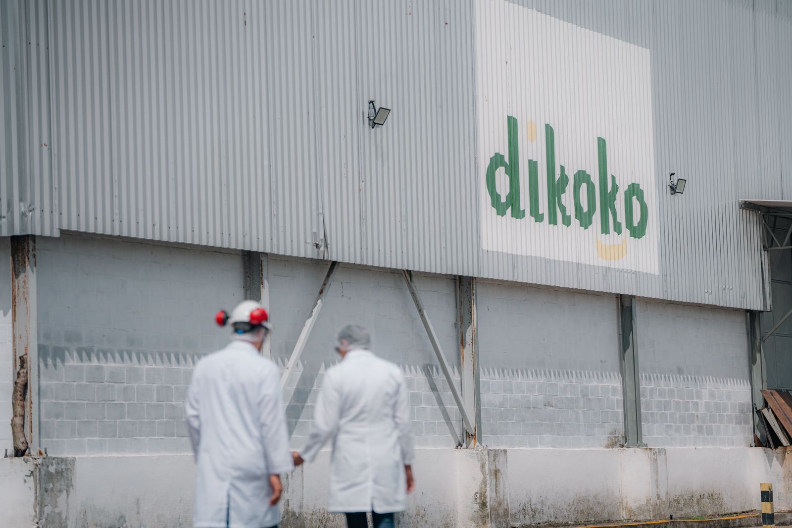 Dikoko: o legado de Raimundo Dias na revolução do mercado de derivados de coco