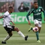 Inter de Limeira x Palmeiras: onde assistir ao vivo hoje (13/02)