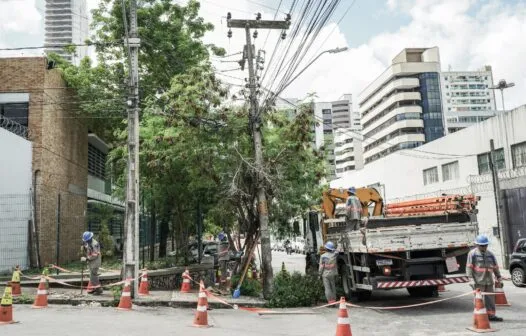 Cerca de 380 mil podas de árvores foram feitas para impedir cortes de energia