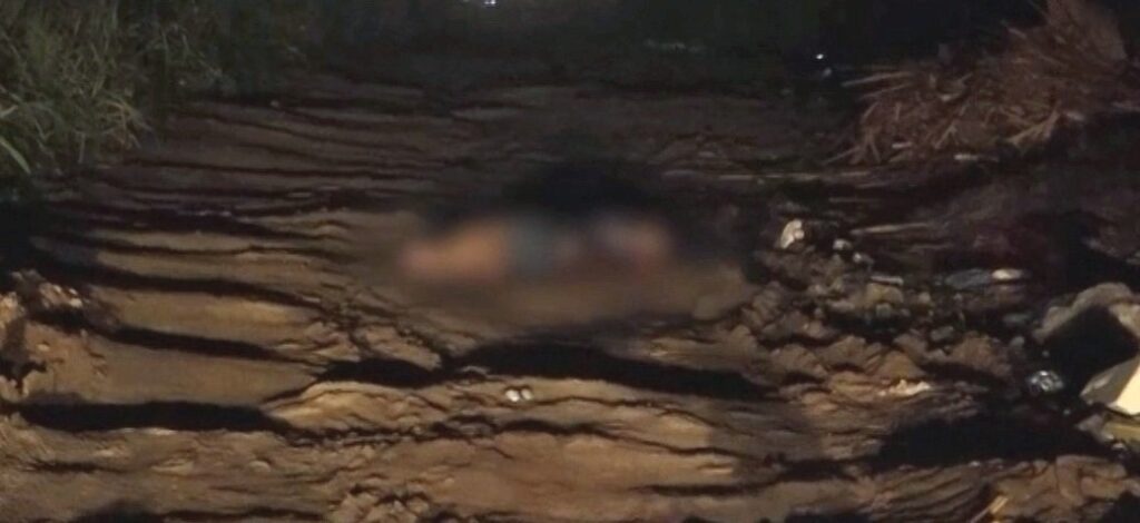 Mulher é encontrada morta em estrada de terra em Caucaia, no Ceará