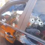 Homem é morto a tiros dentro de carro em Maracanaú/CE; vítima seria chefe de facção