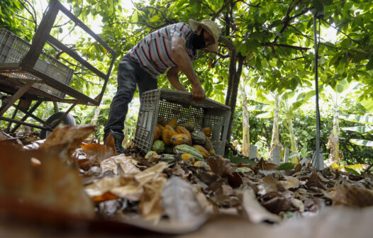 Elmano anuncia investimento de R$ 572 milhões para a agricultura familiar no Ceará