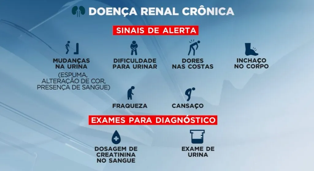 Dia Mundial do Rim: doença renal crônica é silenciosa e diagnóstico precoce é fundamental; saiba mais