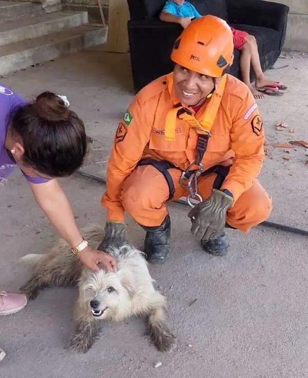 Bombeiros resgatam cachorro que caiu em barranco ao perseguir macacos em Viçosa do Ceará