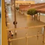 Chuva de 161 mm em Várzea Alegre deixa casas alagadas, animais ilhados e moradores com prejuízos