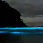 Mar de Ubatuba brilha em azul fluorescente e encanta pessoas