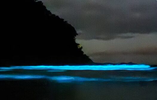 Mar de Ubatuba brilha em azul fluorescente e encanta pessoas