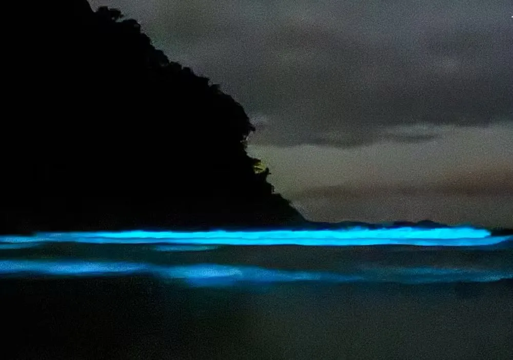 Mar de Ubatuba brilha em azul fluorescente e encanta pessoas