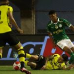 São Bernardo x Palmeiras: onde assistir ao vivo hoje (01/03)