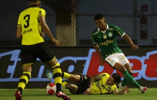 São Bernardo x Palmeiras: onde assistir ao vivo hoje (01/03)