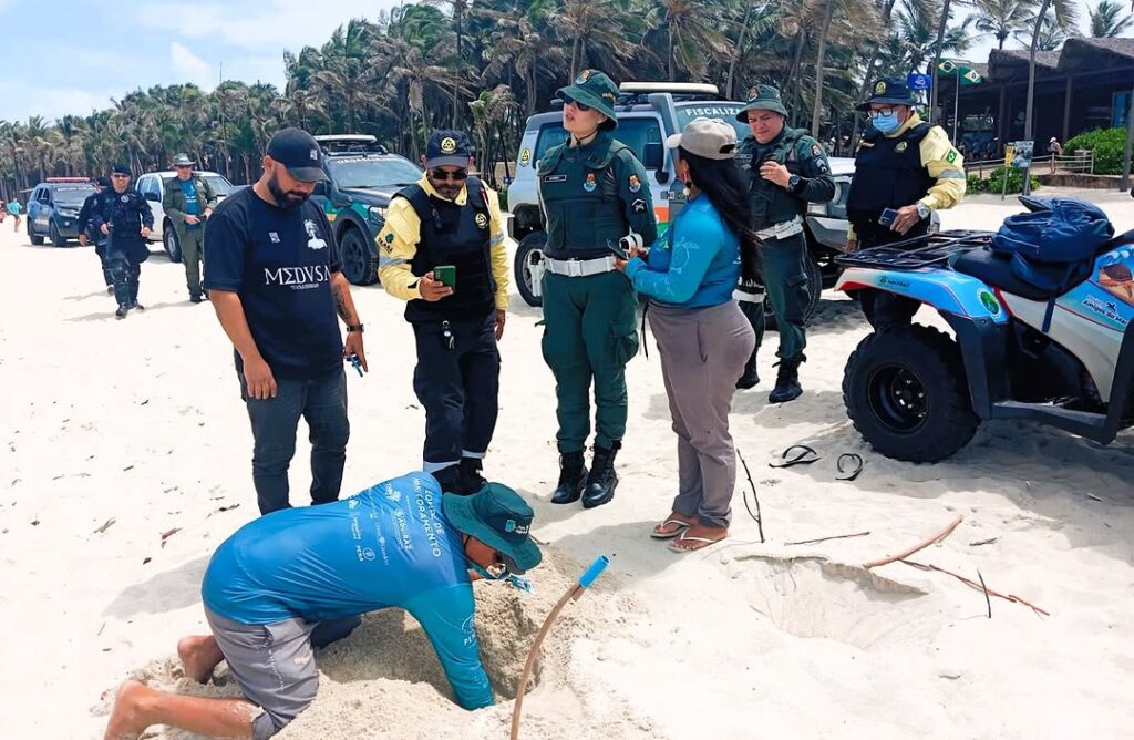 Veículos recebem multas de até R$ 10 mil por trafegar em áreas proibidas de desova de tartarugas