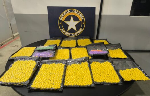 Mais de três mil comprimidos de ecstasy e 100 gramas de cristais são apreendidos em transportadora de Fortaleza