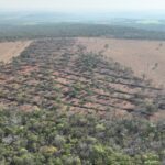 STF determina que terras alvo de incêndios criminosos e desmatamento ilegal sejam desapropriadas