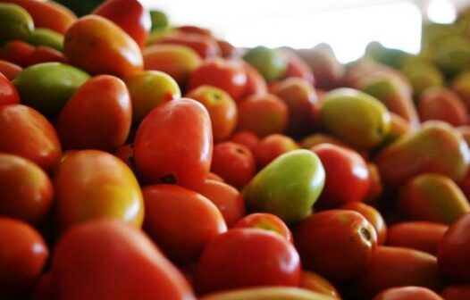 Tomate é item de maior pressão no IPCA de março, aponta IBGE