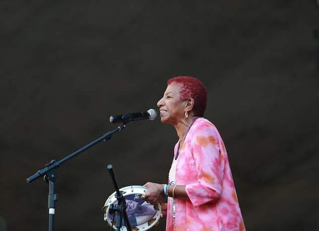 Leci Brandão recebe alta após mal súbito durante festival de samba em São Paulo