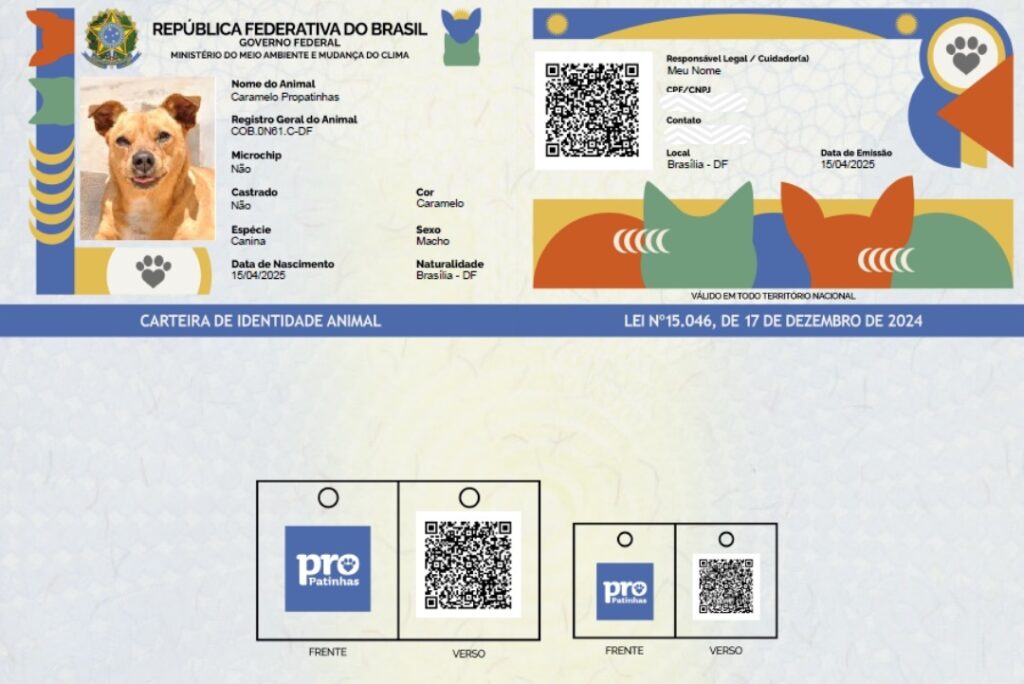 Governo Federal regulamenta ‘RG Animal’ com cadastro nacional gratuito para cães e gatos