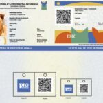 Governo Federal regulamenta ‘RG Animal’ com cadastro nacional gratuito para cães e gatos