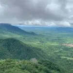 Ceará pode se tornar pioneiro na produção de pistache no Brasil