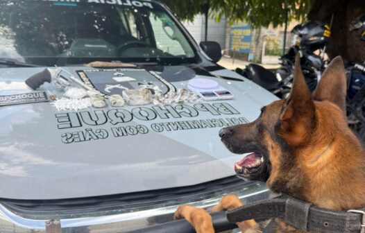 Denúncia anônima resulta em apreensão de arma e droga pelo Policiamento com Cães