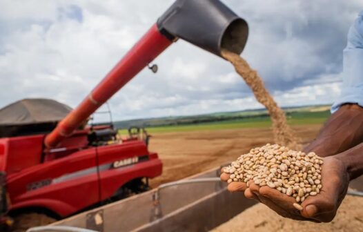 Conab informa que 7ª previsão para safra 2024/25 indica recorde de 330,33 milhões de toneladas