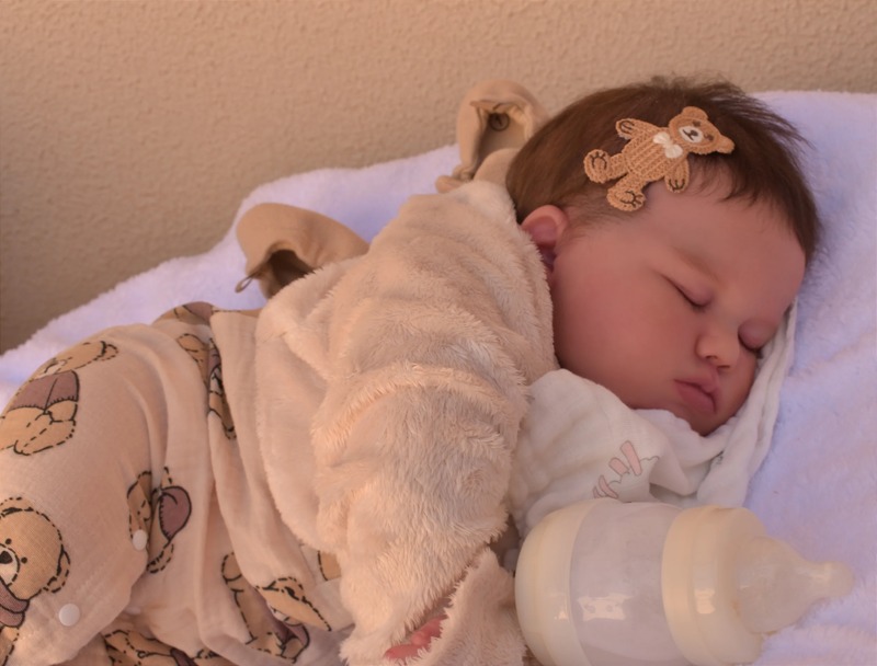 Deputados do Ceará discutem projeto que proíbe atendimento de ‘bebês reborn’ no SUS