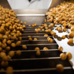 Safra 2025 alcançará 341,9 milhões de toneladas e será 16,8% maior do que a de 2024, diz IBGE