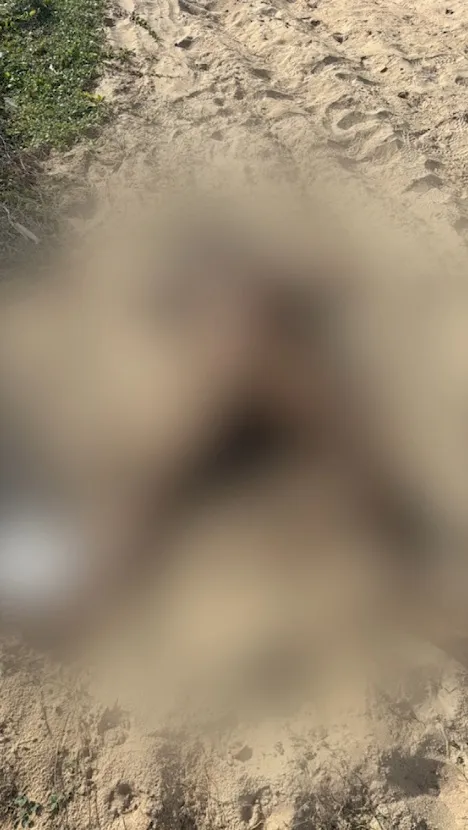 Corpo é encontrado sem roupas e parcialmente carbonizado em terreno em Fortaleza