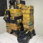 Mais de uma tonelada de maconha é apreendida no município de Cascavel, no Ceará