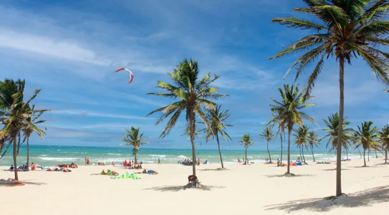 IMMOBINVEST: primeiro fundo imobiliário do Ceará inicia processo de compra de novo terreno