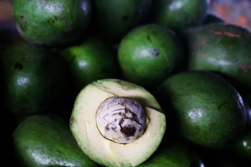 Abacate: sabor, saúde e versatilidade movimentam o mercado em Fortaleza