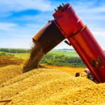 Conab: 4ª previsão para safra 2025/26 indica produção de 353,13 milhões de toneladas