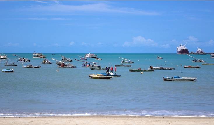 Entenda como funcionam as regras do período de defeso do caranguejo-uçá e da lagosta