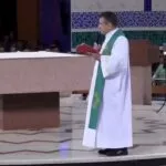 Padre Ferdinando Mancílio viraliza ao criticar marcha de Nikolas Ferreira