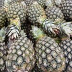 Alimentação no carnaval: veja quais alimentos ajudam na recuperação física