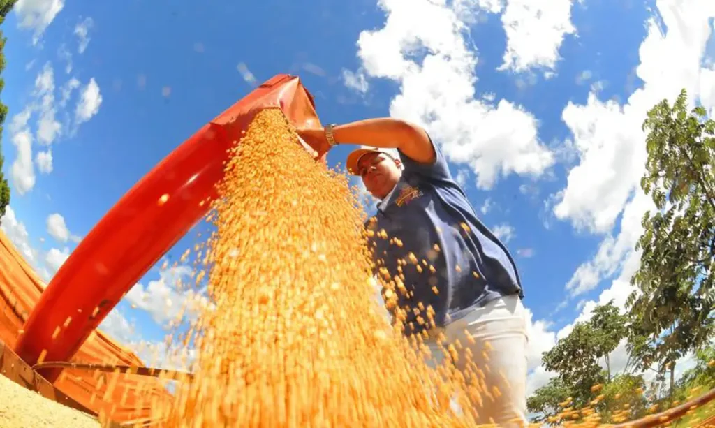 Conab: 5ª previsão para safra 2025/26 indica recorde de 353,4 milhões de toneladas