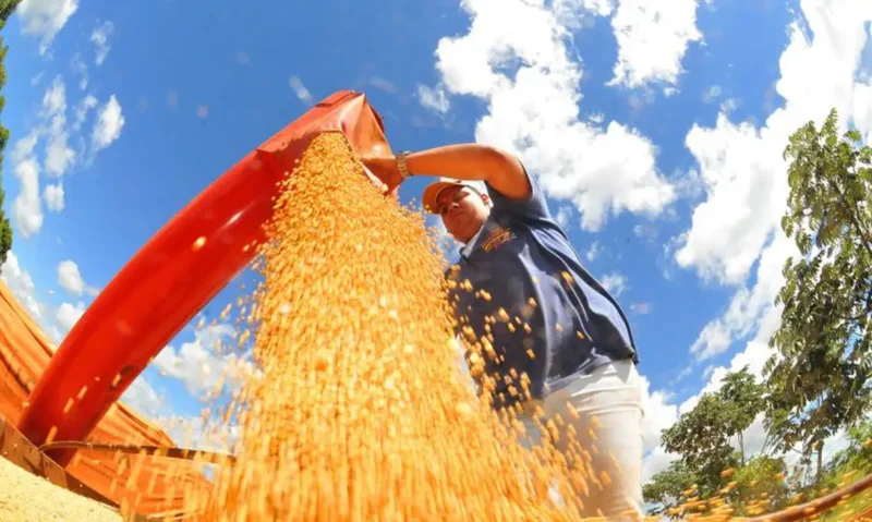 Conab: 5ª previsão para safra 2025/26 indica recorde de 353,4 milhões de toneladas