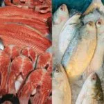 Com alta na procura, quilo do peixe varia entre R$ 25 e R$ 40 durante a Quaresma em Fortaleza