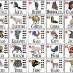 Resultado do Jogo do Bicho de hoje (01/04) Ceará: veja milhares e grupos sorteados