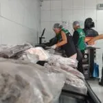 Operação apreende 400 kg de pescados irregulares em Fortaleza