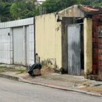 Mulher é morta a tiros na frente da filha autista após homens invadirem casa em Caucaia