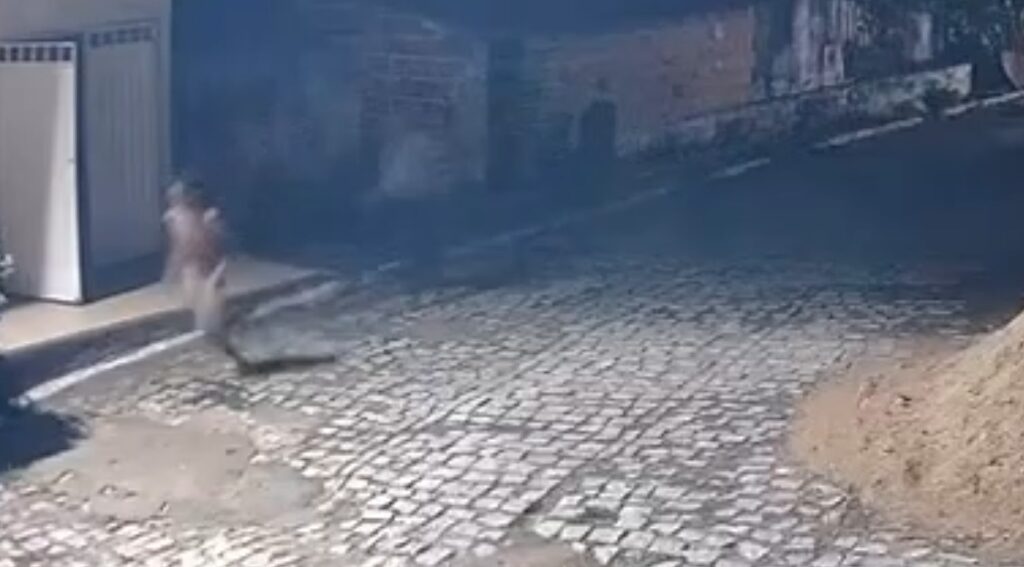 Homem foge nu após invadir casa e tentar estuprar mulher no interior do Ceará; vídeo