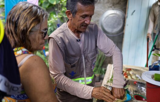 Operação Fronteira: ações de combate ao mosquito da dengue acontecem em Fortaleza e Região Metropolitana