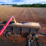 IBGE prevê que safra 2026 alcançará recorde 348,4 milhões de toneladas e será maior que 2025