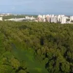 Bairro Cocó, em Fortaleza, se destaca pela combinação entre infraestrutura urbana e preservação ambiental
