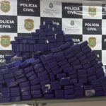 Polícia realiza maior apreensão de maconha do ano com mais de 180 kg em Fortaleza