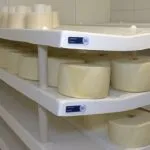 Queijo coalho maturado de alto padrão coloca Quixeramobim no mapa da produção gourmet no Brasil