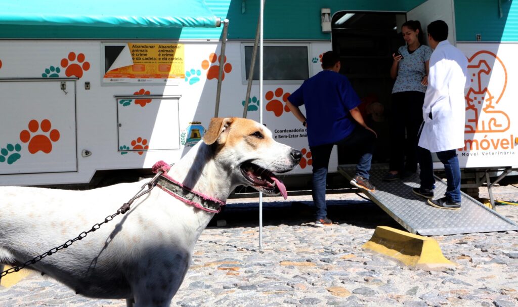 VetMóvel chega ao Jardim América e mantém atendimentos no Presidente Vargas em Fortaleza; veja serviços e horários