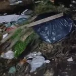 Moradores denunciam que terreno está sendo usado como cemitério de cães em Fortaleza