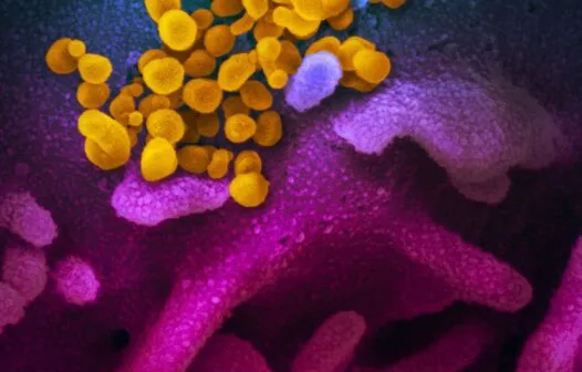 Covid-19: estudo aponta aumento de bactérias resistentes em UTIs