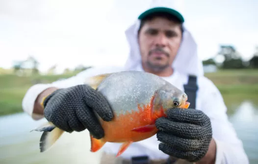 Açudes públicos de nove cidades do Ceará serão repovoados